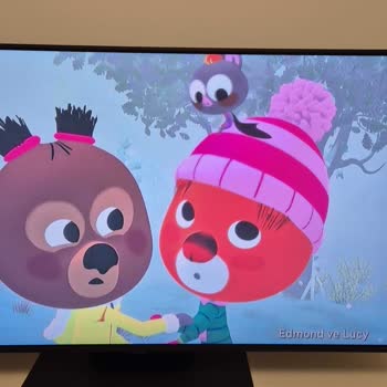 Yan Açılarda Renk Sorunu: LG TV İzleme Keyfini Kaçırıyor