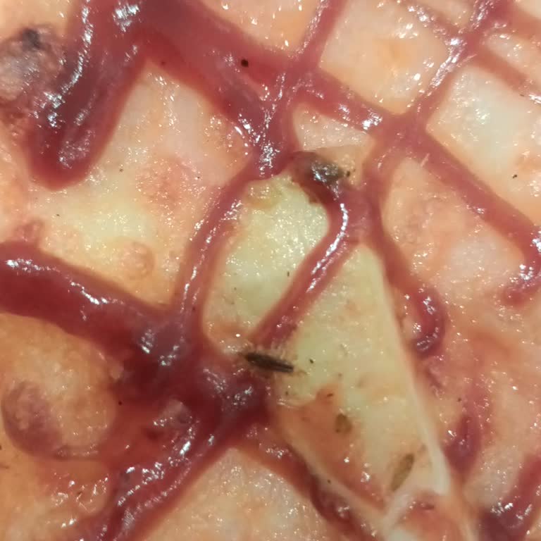 Böcekli Pizza Skandalı