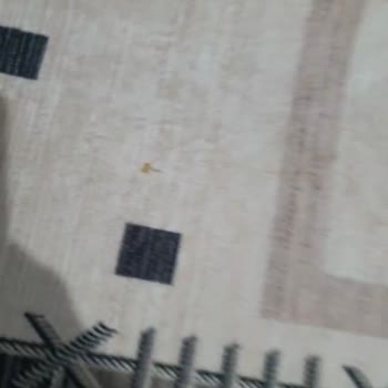 Önder Halı & Koltuk Yıkama Çekmeköy Şikayeti