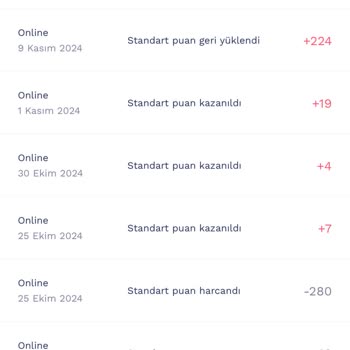 Online Alışverişte Puan Mağduriyeti