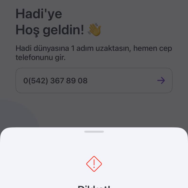 Giriş Sorunu Ve Yetersiz Müşteri Hizmeti