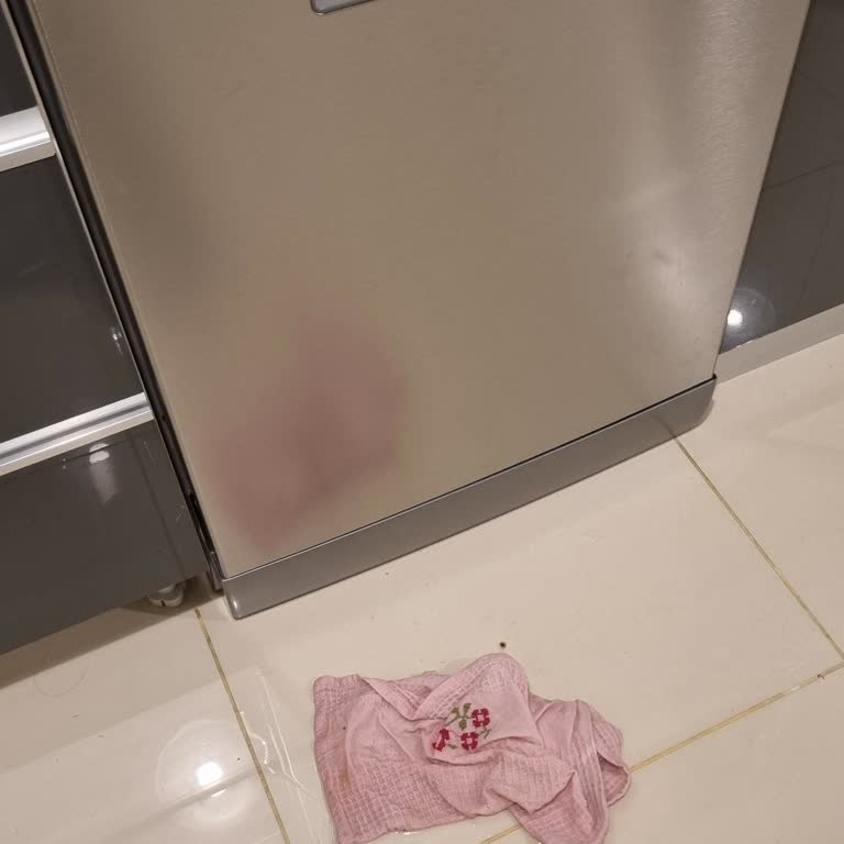 Beko Bulaşık Makinesi Su Kaçağı Ve Servis Sorunu