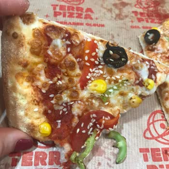 Terra Pizza Metropol AVM Malzemesiz Pizza