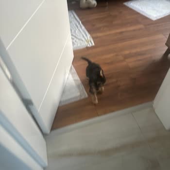 Ürün Teslimatında Sürekli Gecikme Ve İade Sorunu