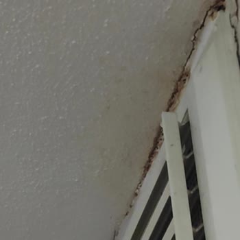 Anadolu Sigorta'nın Hatalı İcra Takibi Ve İletişim Sorunları