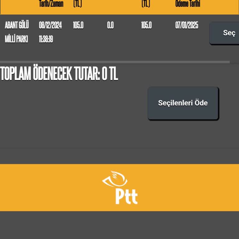 HGS Bakiye Sorunu Ve Hatalı İhlal Ücreti