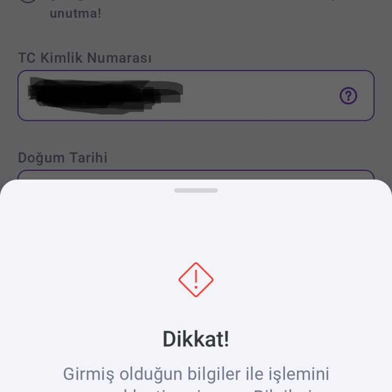 Telefon Numarası Değişikliği Nedeniyle Giriş Sorunu
