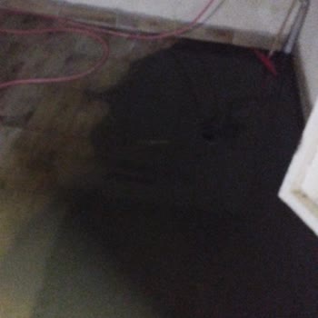 Edirne'de Çözülmeyen Koku Sorunu: Mağduriyet Ve İlgisizlik