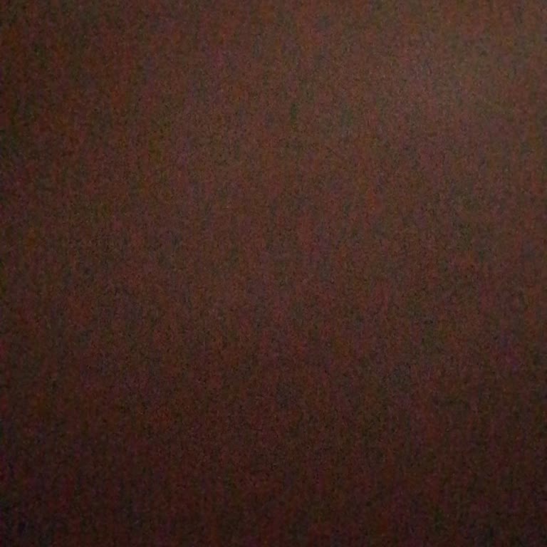 Sokak Kedilerine Yönelik Şiddet Ve İlgisizlik