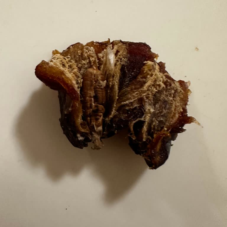 Görünüşte Güzel, İçerikte Kurtlu!