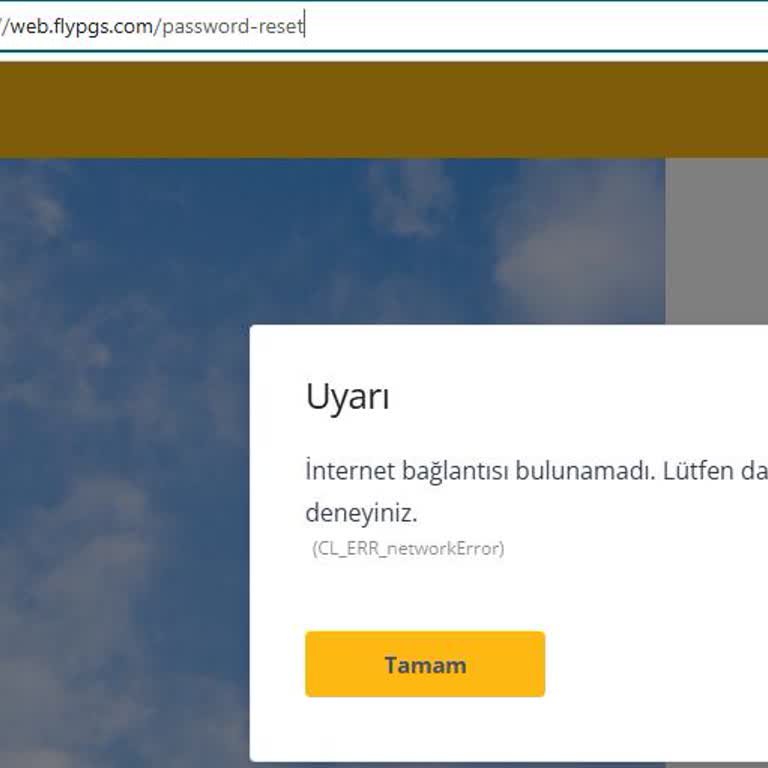 Pegasus İnternet Sitesinin Kullanım Zorlukları!