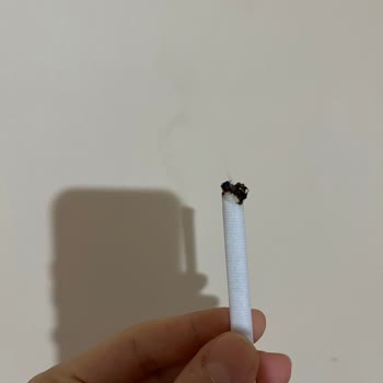 Parlement Midnight Blue Sigarasından Çıkan Odunlar Kıyafetlerimi Yaktı!