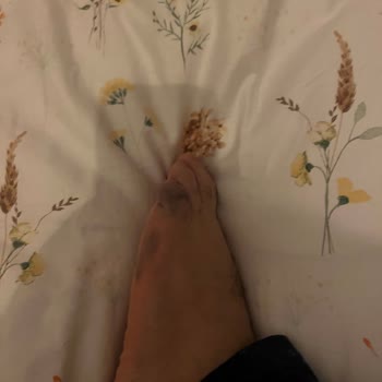 Ayakkabının Sağlık Sorunlarına Yol Açması