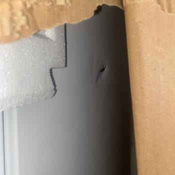 Buzdolabı Teslimatında Yaşanan Sorunlar