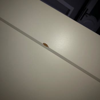 IKEA'da Kalite Kontrol Eksikliği Ve Müşteri Hizmetleri Sorunu