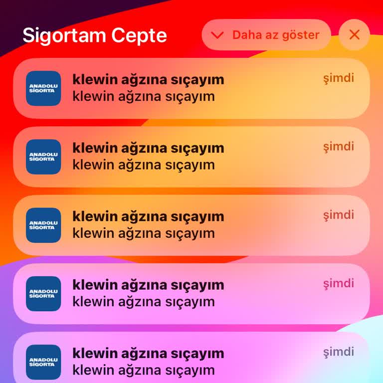 Anadolu Sigorta Uygulaması Güvenlik Sorunu