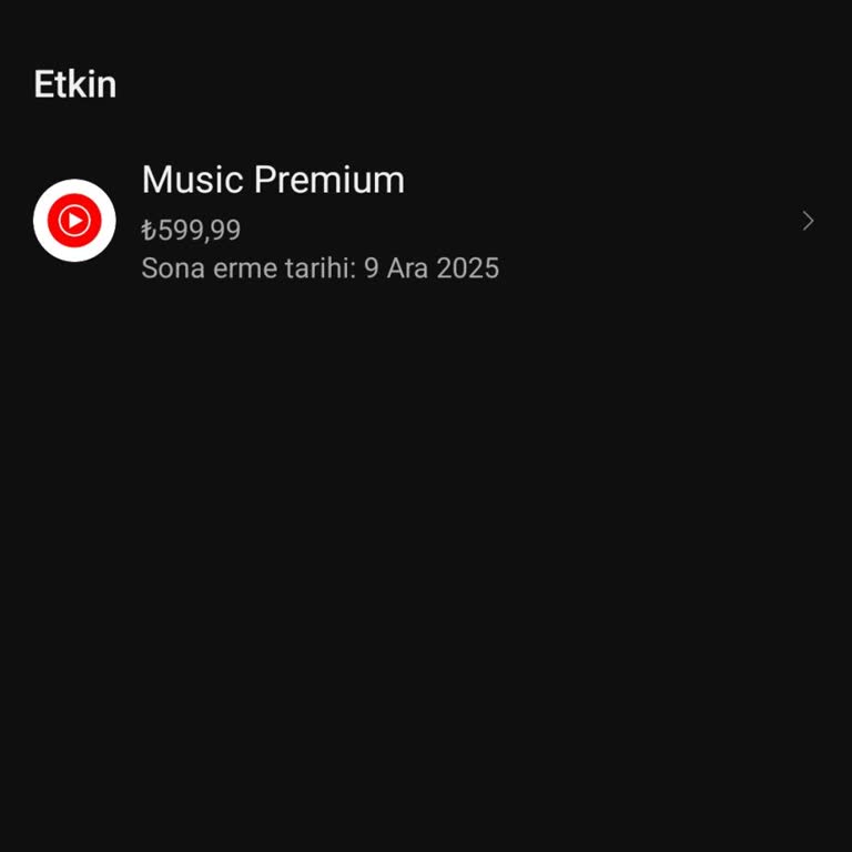 Youtube.com.com İade Sürecinde Hayal Kırıklığı