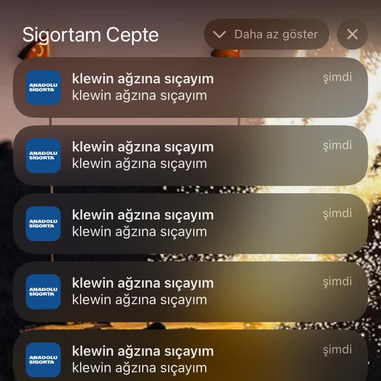 Anadolu Sigorta'dan Gelen Skandal Mesajlar