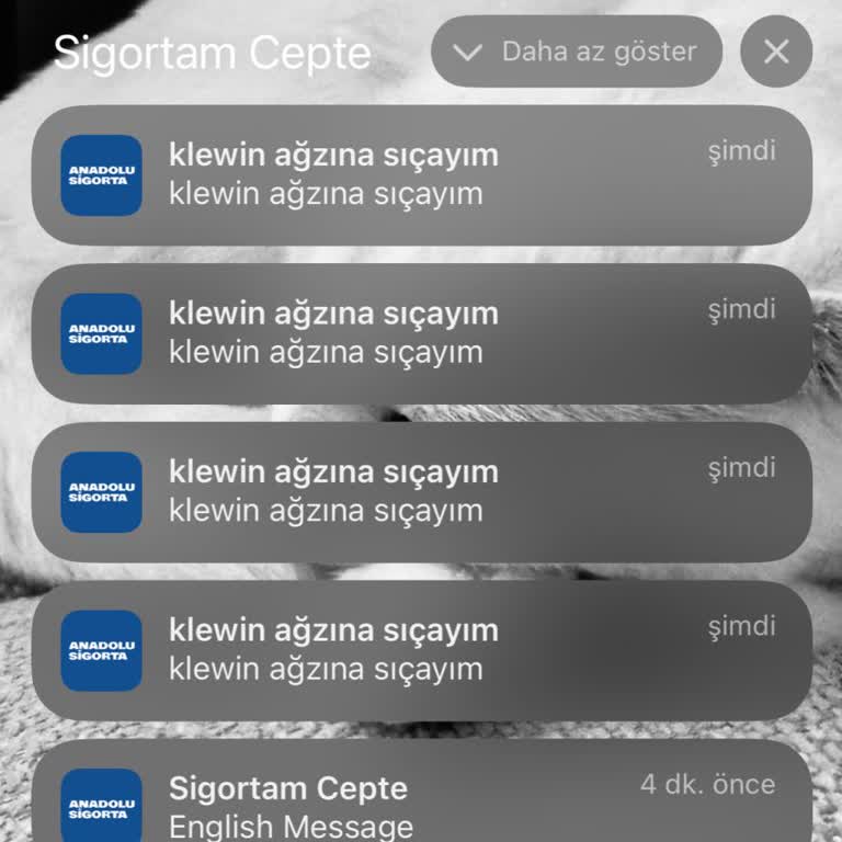 Sigorta Uygulamasında Küfürlü Mesaj Bildirimleri Şoku