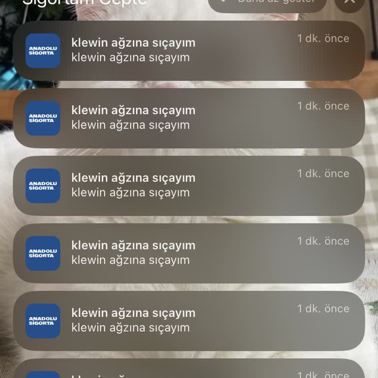 Sahte Web Sitesi Gelen Şaşırtıcı Bildirimler