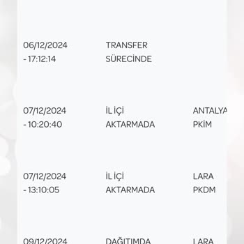 Kargo Teslim Edilemedi: Ehliyetim Nerede?