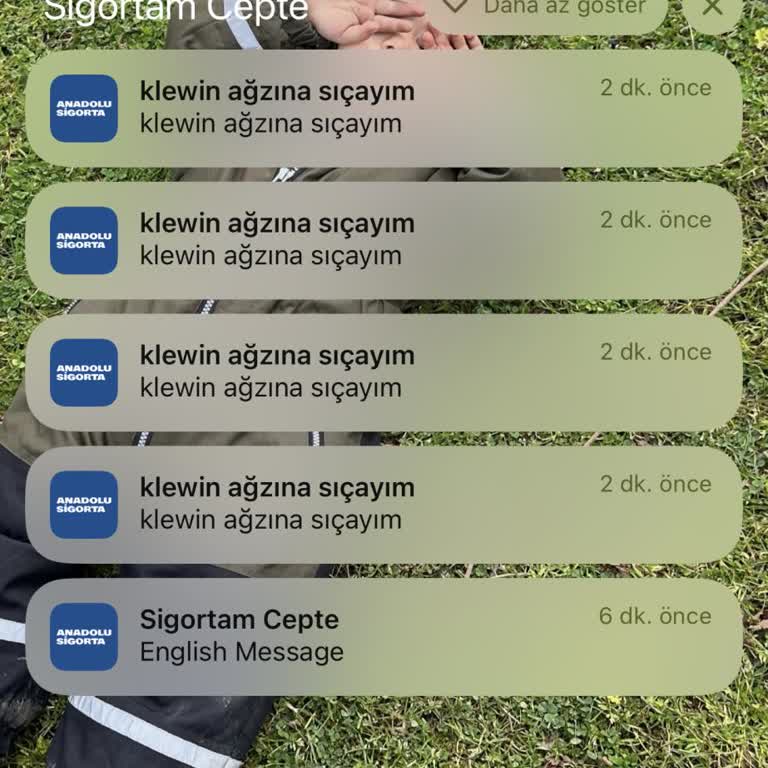 Anadolu Sigorta Uygulaması Hacklendi Mi?