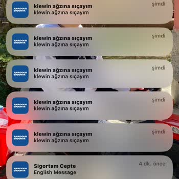 Anadolu Sigorta Uygulama Güvenlik Açığı Ve Müşteri Hizmetleri Sorunu