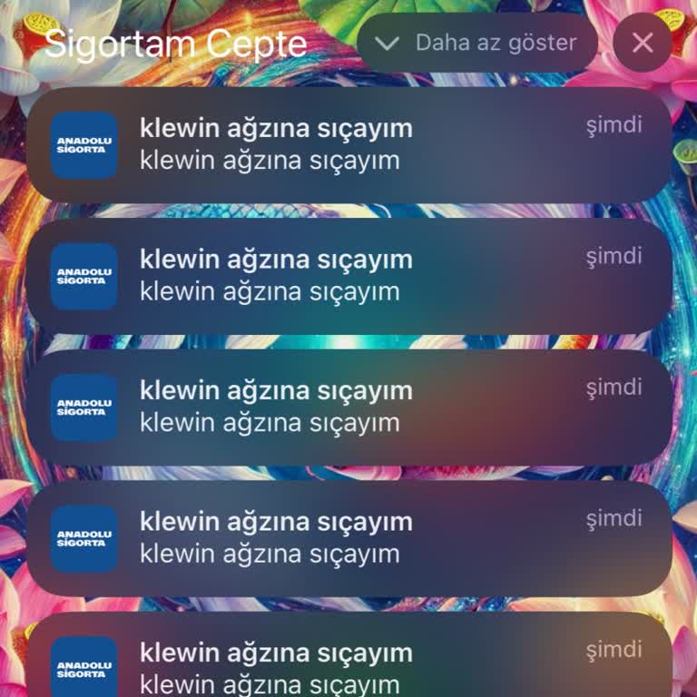 Anadolu Sigorta Uygulamasından Gece Gelen Mesaj Ve Diğer Sorunlar