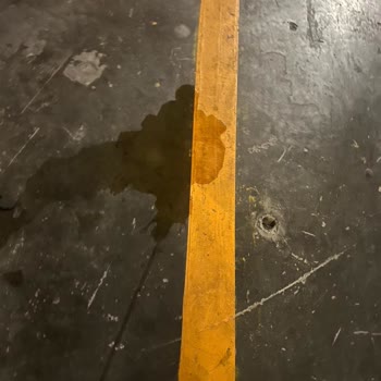 Otoparkta Hijyen Sorunu Ve İlgisiz Yönetim
