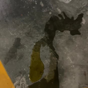 Otoparkta Hijyen Sorunu Ve İlgisiz Yönetim