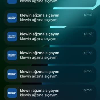 Anadolu Sigorta Uygulaması Ve Veri Güvenliği Endişesi