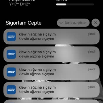 Güvenlik Açıkları Ve Kişisel Veri İhlali