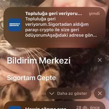 Sigortam Cepte Uygulamasından Gelen Küfürlü Mesajlar