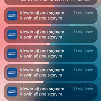 Anadolu Sigorta Uygulaması Güvenlik Endişesi