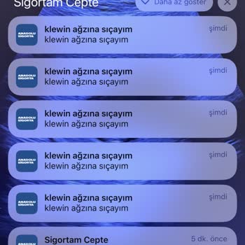 Anadolu Sigorta Uygulamasındaki Güvenlik Endişeleri