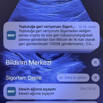 Anadolu Sigorta Uygulamasındaki Güvenlik Endişeleri