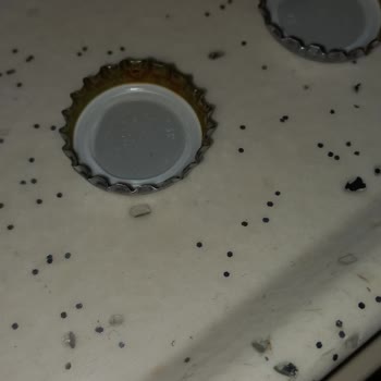 Beypazarı Soda Şişelerinde Pas Sorunu Ve Sağlık Riski