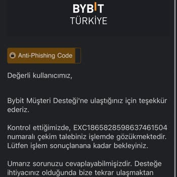 Bybit Borsasında Para Çekme Sorunu