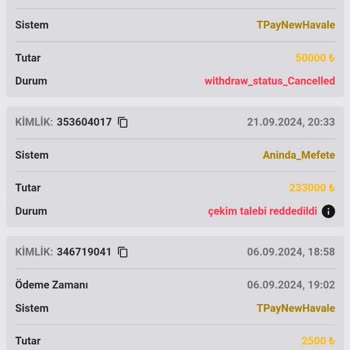 Kazancım Ödenmedi, Hesabım Silindi