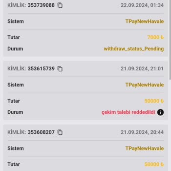 Kazancım Ödenmedi, Hesabım Silindi