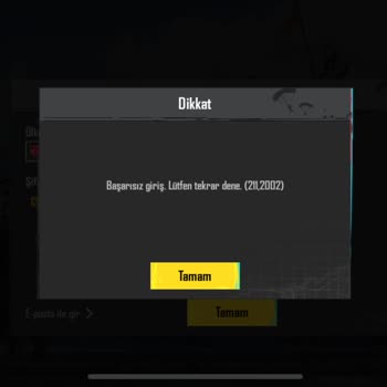 Giriş Sorunları Ve Şifre Yenileme Problemi