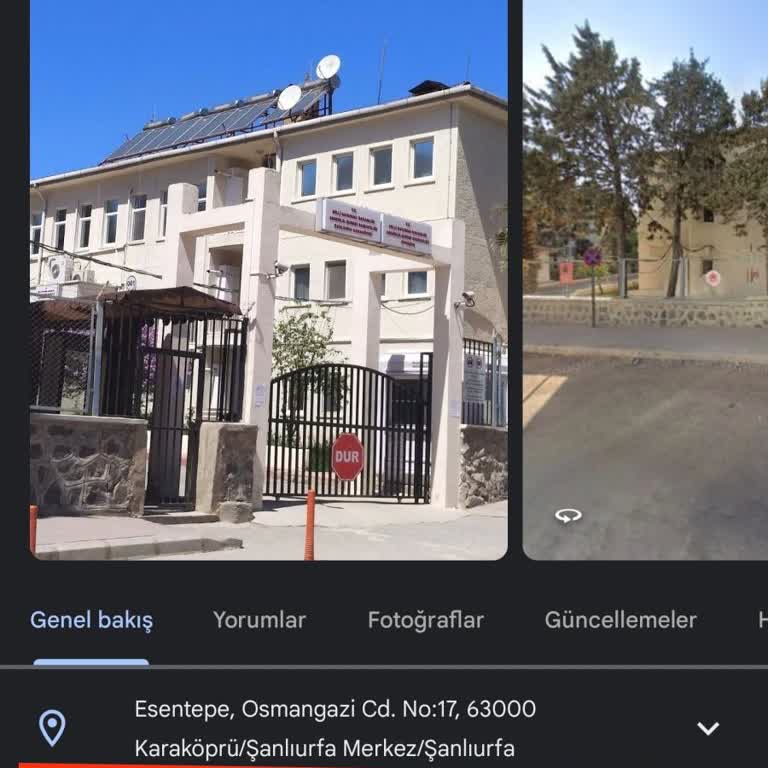 E-Devlet Askerlik Şubesi Adres Hatası: Yurt Dışındaki Öğrencilerin Zorlukları