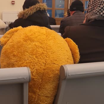 Tren Gecikmesi Ve İlgisizlik Sorunu