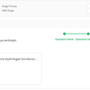 Kayıp Kargo Ve Yetersiz Destek Sorunu