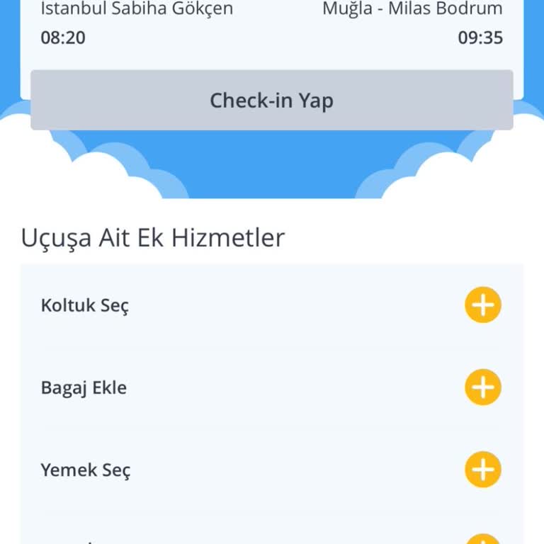 Online Check-in Sorunu Ve Mağduriyet Yaşatan Uçuş Deneyimi