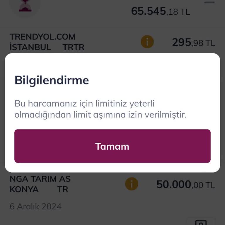 Kart Limitim Olmadan Yapılan Harcamalar Ve Bankanın İlgisizliği