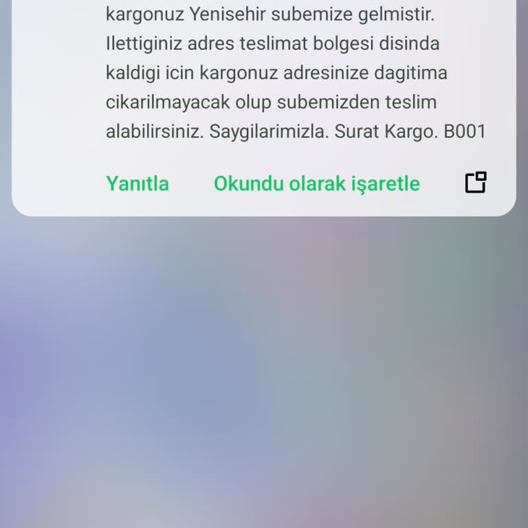 Sürat Kargo'nun İznik Sorunu