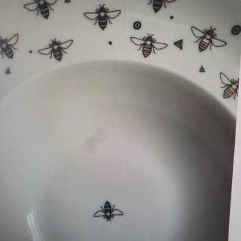 Porland Ürün Kalitesi Ve Müşteri Hizmetleri Hayal Kırıklığı