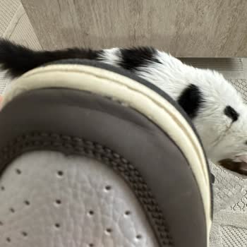 Ayakkabı Onarımında Yanıltıcı Hizmet Deneyimi