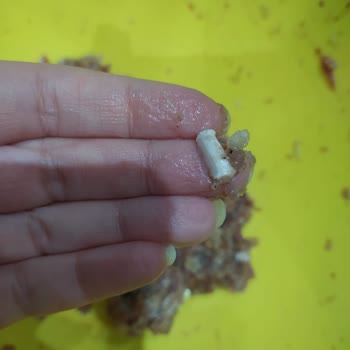 Migros'tan Aldığım Kıymada Şok Edici Yabancı Maddeler